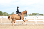 SBM_03371