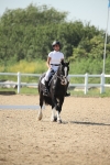 SBM_010294