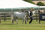 SBM_00734