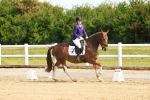 SBM_007631
