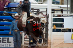 Mr. T Xtreme Bull Riding portfolio