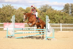 SBM_003337