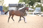 SBM_08271