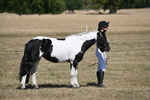WJ6_8555