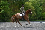 WJ5_9982