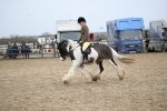 SBM_007985