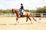 SBM_000394
