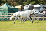 SBM_01713