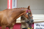 SBM_04907