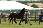 SBM_02224