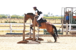 SBM_003698