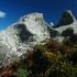 Clifftop Rock