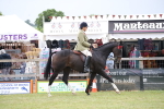 SBM_11386