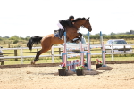 SBM_003851