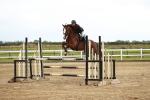 SBM_006615
