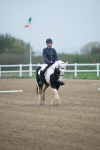 SBM_003381