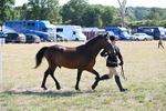 WJ6_7541