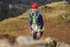 Loughrigg-692