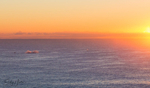 Whale Sunrise 1