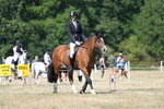 WJ7_0403