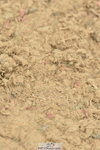 230611A-095116-04621