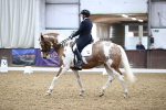 SBM_006986