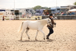 SBM_04645