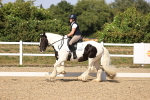 SBM_006555