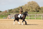SBM_001695