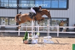BPP_6671