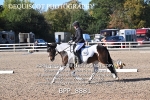 BPP_8881