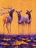 Courtship SOLD