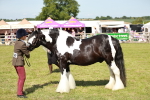 SBM_08823