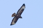 20120325-_MG_9979