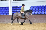 M&M Novice WHP Championship portfolio
