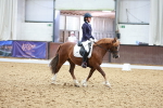 SBM_010910