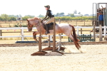 SBM_003675