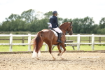 SBM_002481