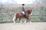 SBM_006308