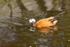 20140419-3K8A0415