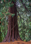 Batsford - 09