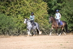 WJ6_7793