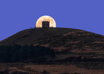 Pike Full Moon