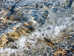 SPLASH #19 - BRUCE COUNTY