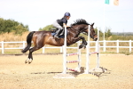 SBM_000831