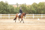 SBM_000969