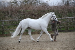 SBM_004024