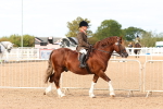 SBM_16927
