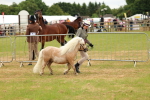 SBM_03492