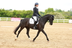 SBM_006953